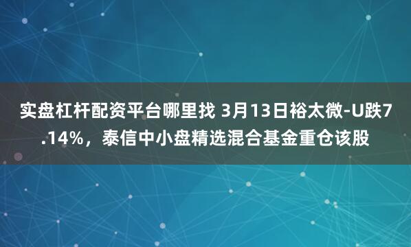实盘杠杆配资平台哪里找 3月13日裕太微-U跌7.14%，泰信中小盘精选混合基金重仓该股