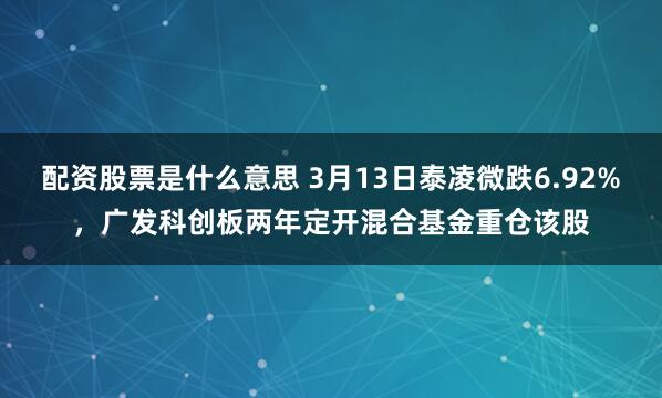 配资股票是什么意思 3月13日泰凌微跌6.92%，广发科创板两年定开混合基金重仓该股