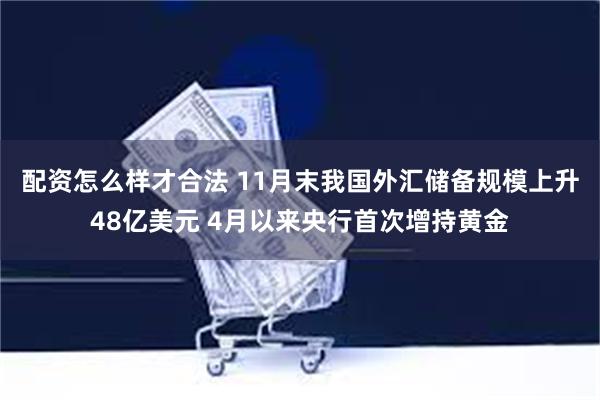 配资怎么样才合法 11月末我国外汇储备规模上升48亿美元 4月以来央行首次增持黄金