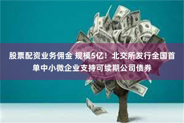 股票配资业务佣金 规模5亿！北交所发行全国首单中小微企业支持可续期公司债券