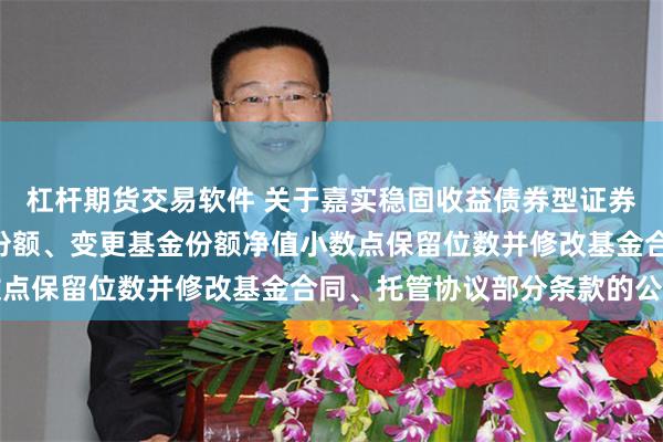 杠杆期货交易软件 关于嘉实稳固收益债券型证券投资基金增加D类基金份额、变更基金份额净值小数点保留位数并修改基金合同、托管协议部分条款的公告