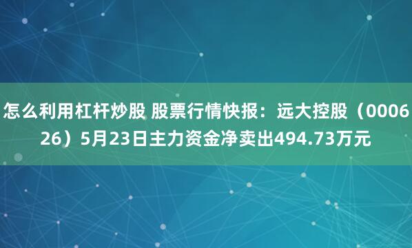 怎么利用杠杆炒股 股票行情快报：远大控股（000626）5月23日主力资金净卖出494.73万元