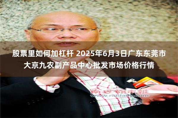 股票里如何加杠杆 2025年6月3日广东东莞市大京九农副产品中心批发市场价格行情