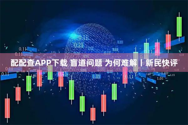 配配查APP下载 盲道问题 为何难解丨新民快评