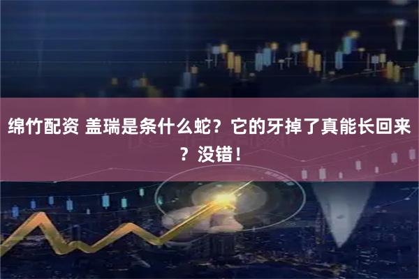 绵竹配资 盖瑞是条什么蛇?它的牙掉了真能长回来?没错!